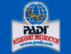 Assistent Instructor